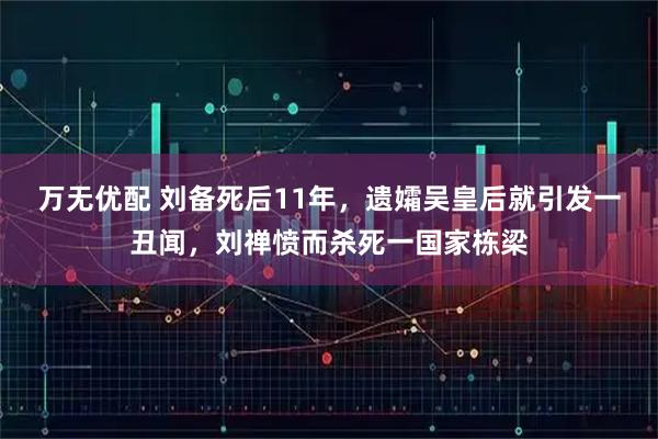 万无优配 刘备死后11年，遗孀吴皇后就引发一丑闻，刘禅愤而杀死一国家栋梁
